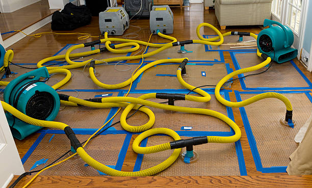 Professional Crawl Space Water Removal technician working in Fenton, MI